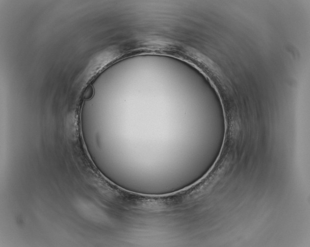 X0000113001362200908271338