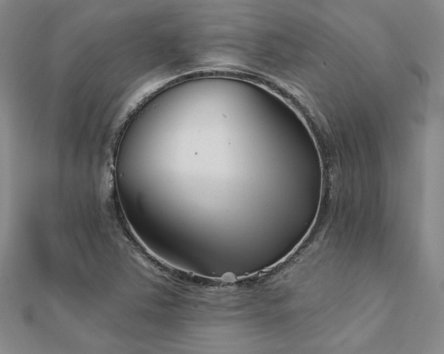 X0000113001363200908271338