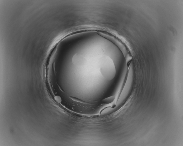 X0000113001365200908271338