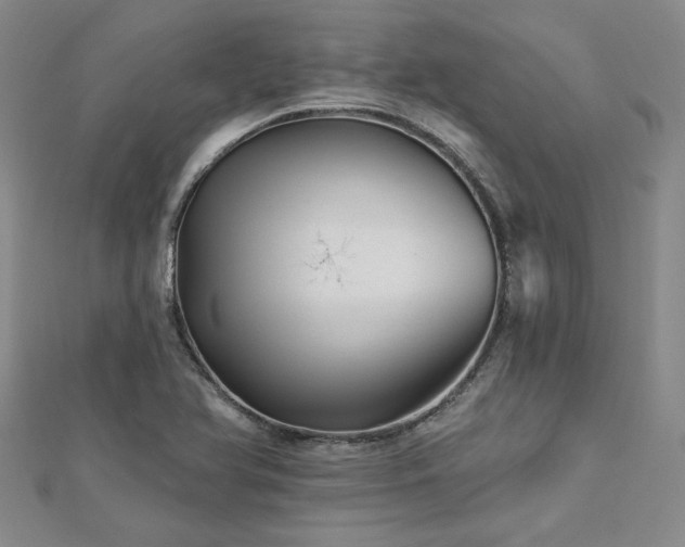 X0000113001366200908271338