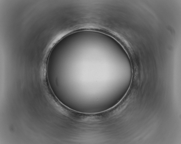 X0000113001367200908271338