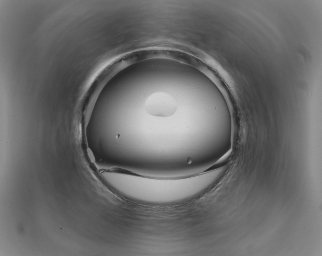 X0000113001368200908271338