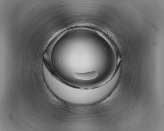 X0000113001369200908271338