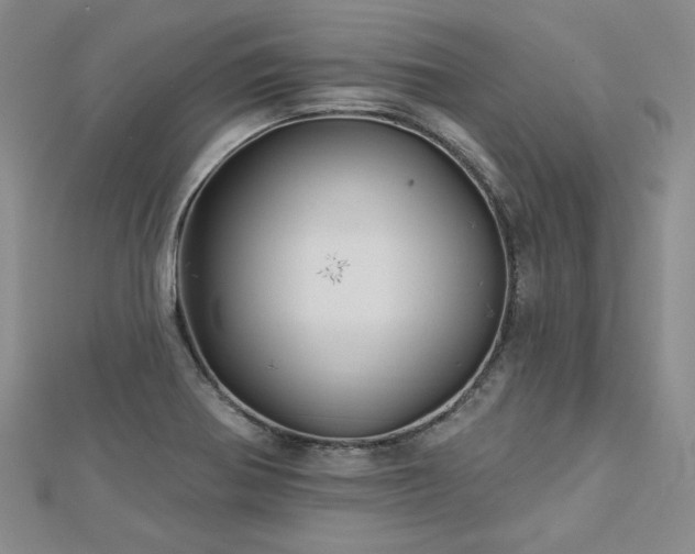 X0000113001370200908271338
