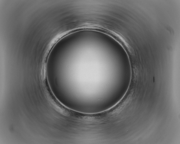 X0000113001371200908271338