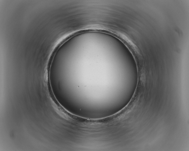 X0000113001372200908271338