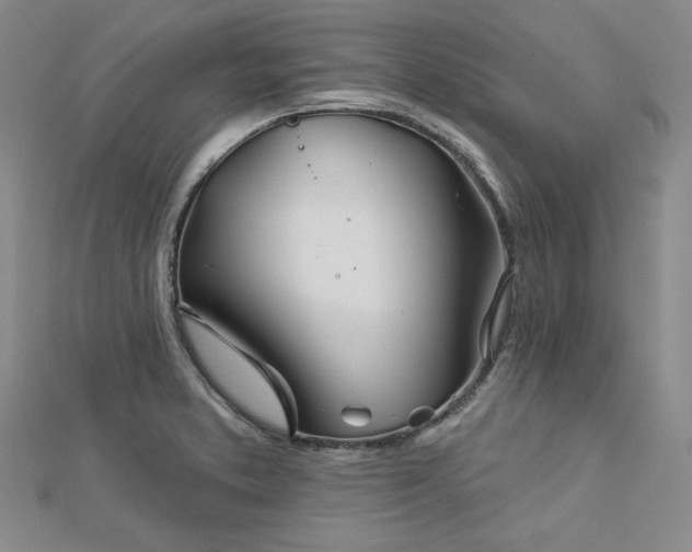 X0000113001373200908271338