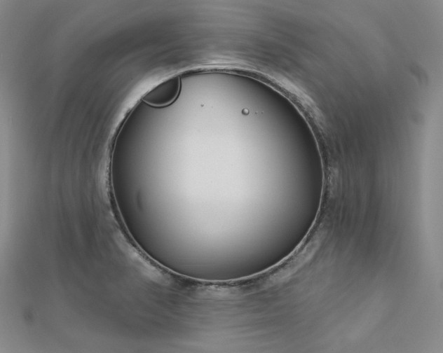 X0000113001374200908271338