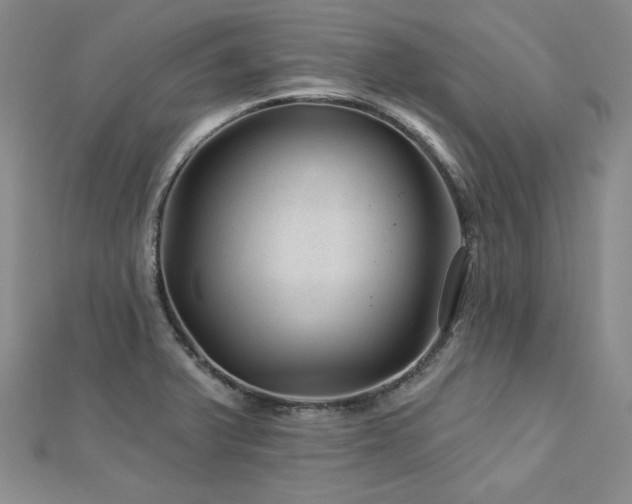 X0000113001375200908271338