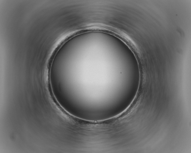 X0000113001376200908271338