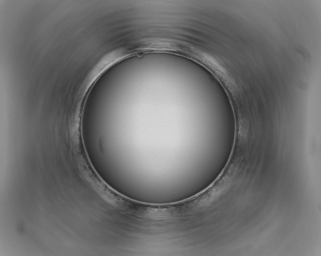 X0000113001378200908271338