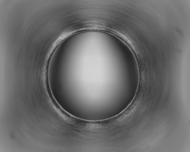 X0000113001379200908271338