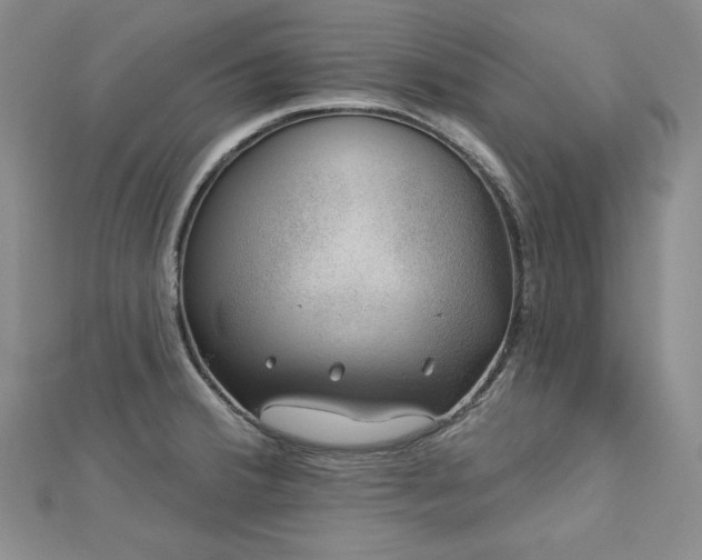 X0000113001380200908271338
