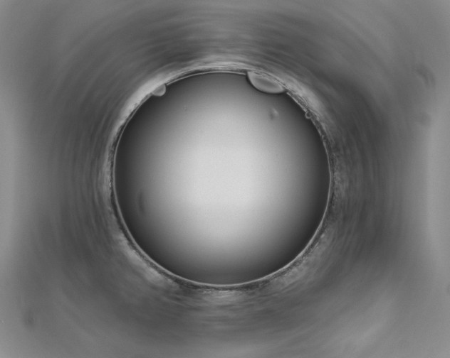 X0000113001382200908271338