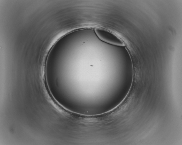 X0000113001383200908271338