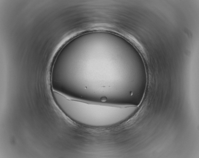 X0000113001384200908271338