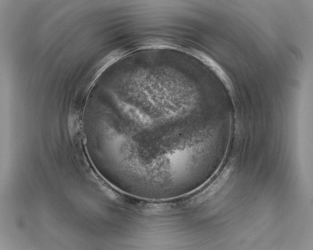 X0000113001385200908271338