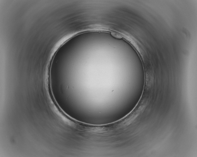 X0000113001387200908271338