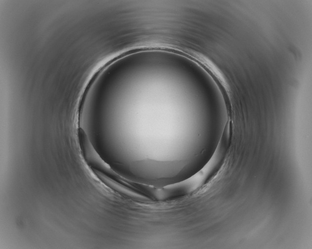 X0000113001388200908271338