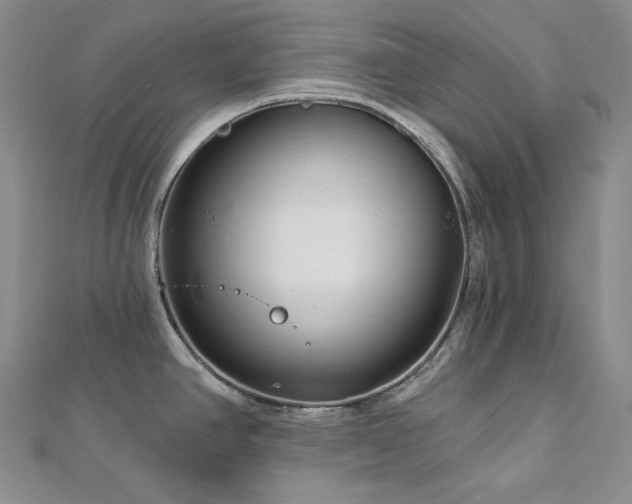 X0000113001390200908271338