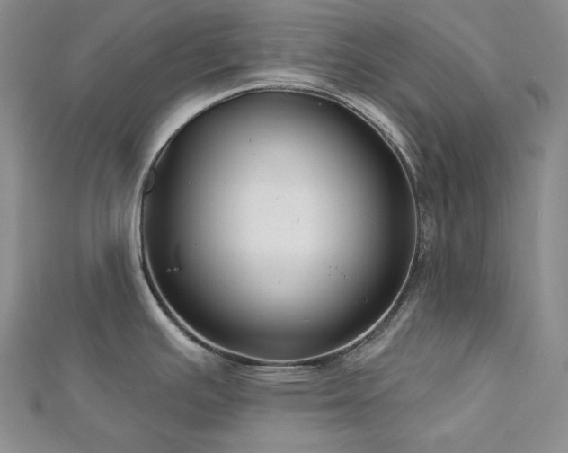 X0000113001391200908271338