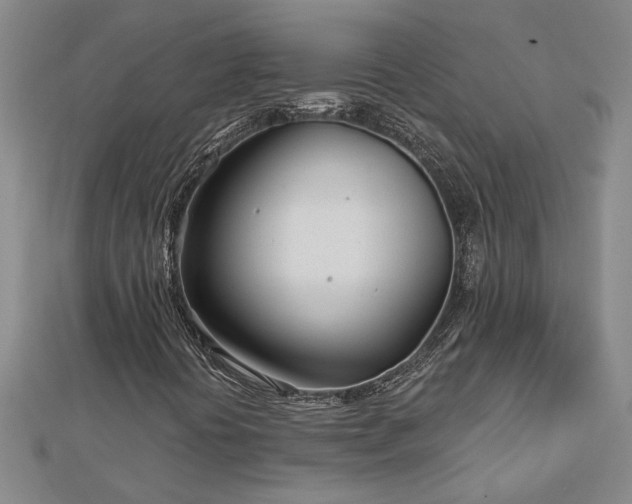 X0000113001394200908271337