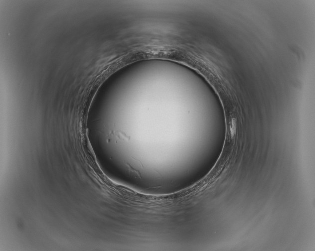 X0000113001396200908271337