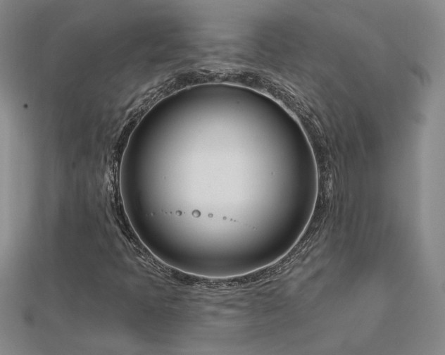 X0000113001397200908271337