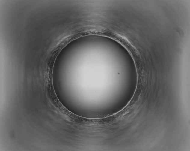X0000113001399200908271337