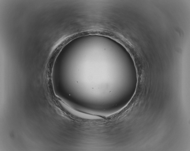 X0000113001400200908271337