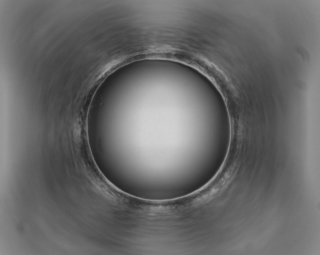 X0000113001401200908271337