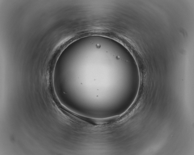 X0000113001402200908271337