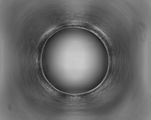 X0000113001403200908271337