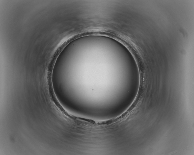 X0000113001404200908271337