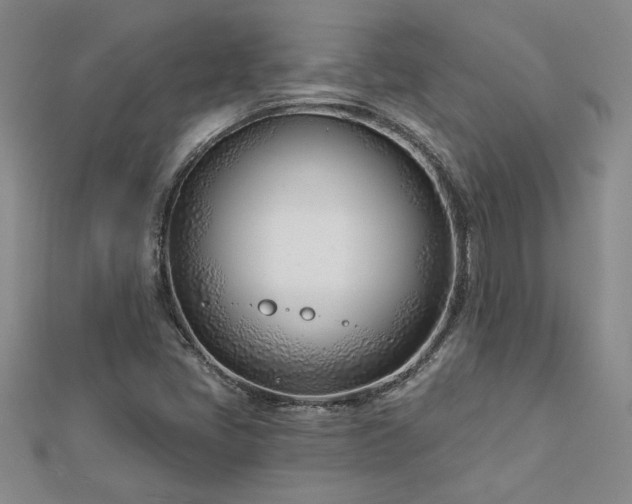 X0000113001405200908271337