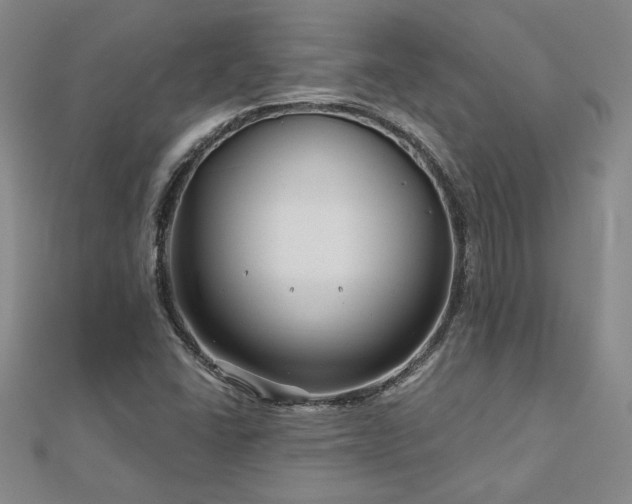 X0000113001406200908271337
