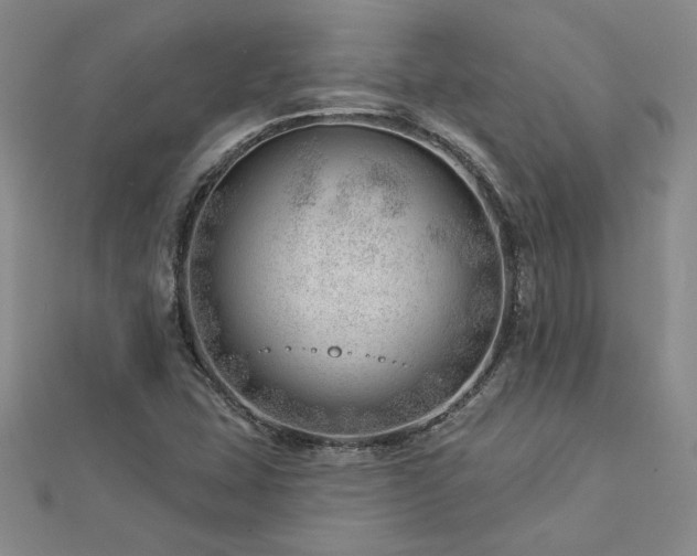 X0000113001407200908271337
