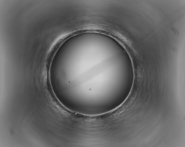 X0000113001408200908271337