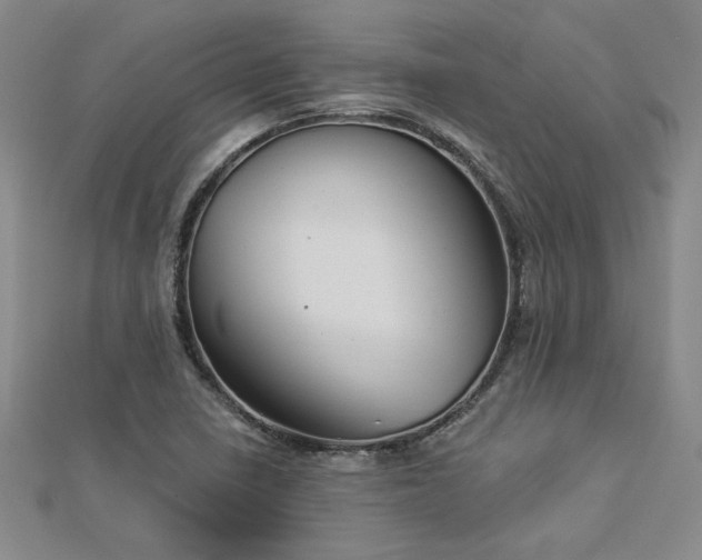 X0000113001410200908271337