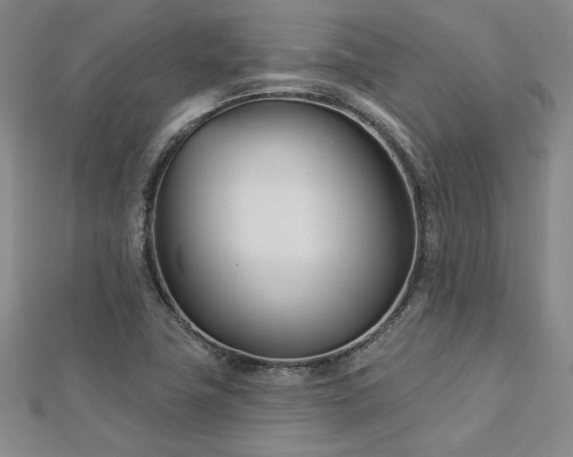 X0000113001411200908271337