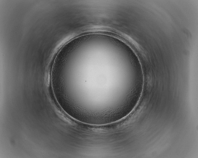 X0000113001413200908271337