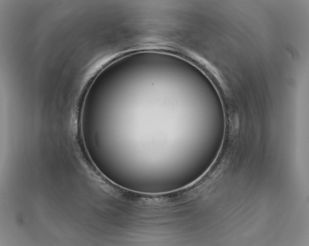 X0000113001415200908271337
