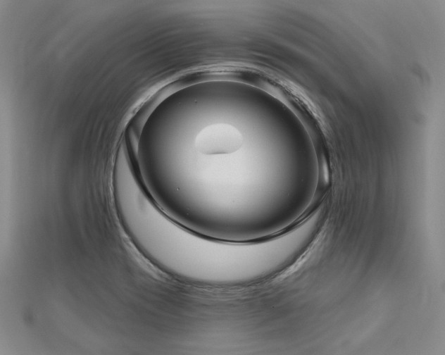 X0000113001417200908271337