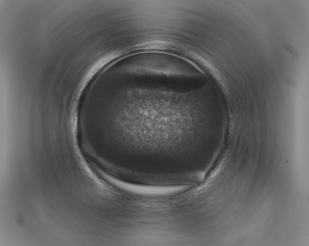 X0000113001418200908271337
