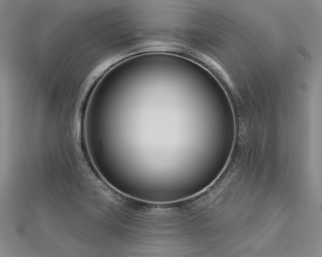 X0000113001419200908271337