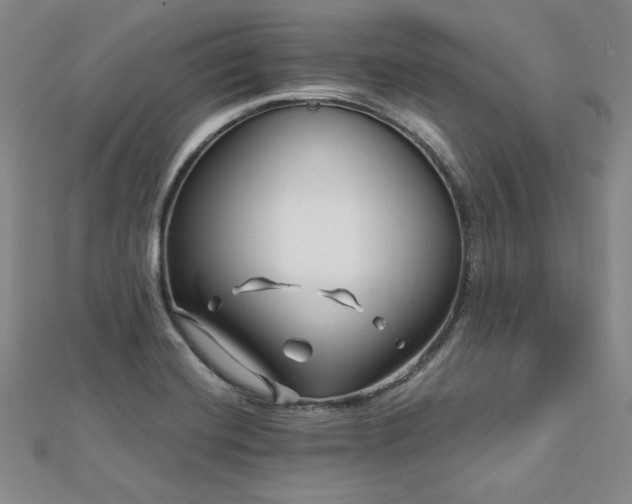 X0000113001420200908271337