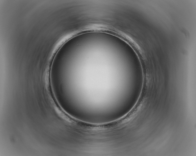 X0000113001421200908271337
