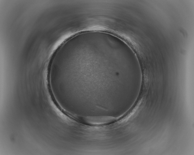 X0000113001422200908271337