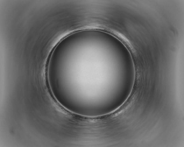 X0000113001423200908271337