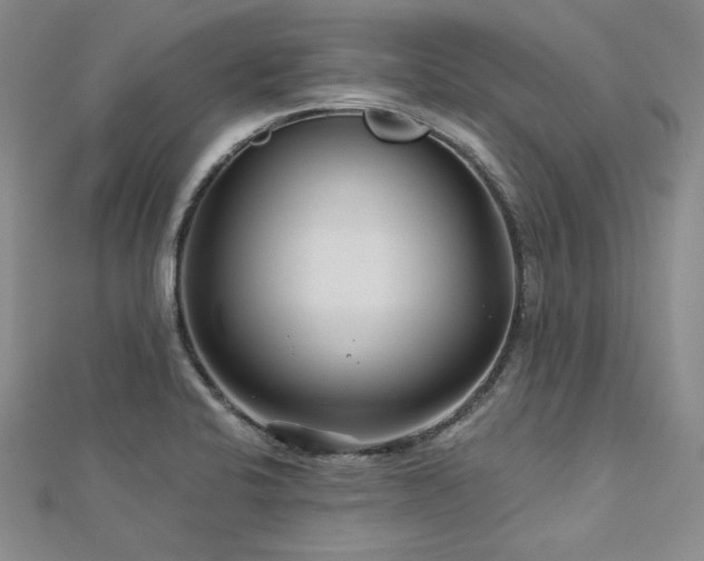 X0000113001424200908271337